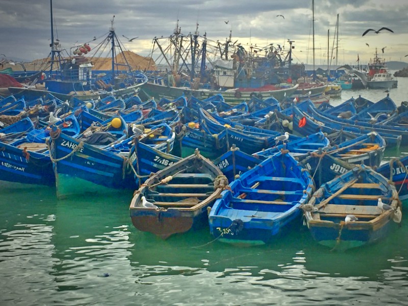 Enchevêtrement de barques de pêcheurs dans le port d'Essaouira #Off2Africa 5 Essaouira Maroc © Gilles Denizot 2016