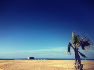 L'océn, la Casa del Mar au loin, le sable et un palmier #Off2Africa 9 Tan-Tan Tarfaya Maroc © Gilles Denizot 2016