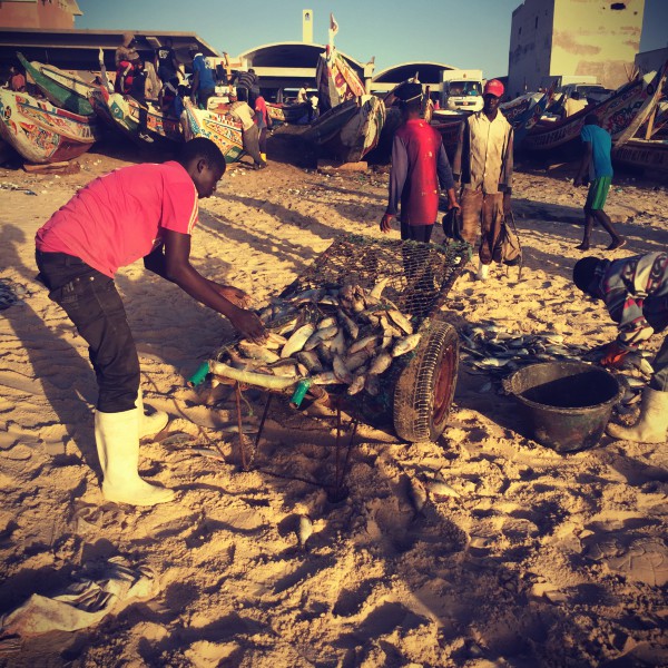 Scène sur le rivage à Nouakchott, barques, pêcheurs et femmes qui trient le poisson #Off2Africa 17 Nouadhibou Nouakchott © Gilles Denizot 2016