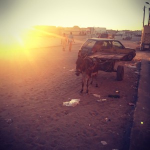 Scène de rue à Nouadhibou, un âne attaché à une charrette attend dans le soleil couchant. Deux silhouettes marchent sur la chaussée ensablée #Off2Africa 13 Frontière Nouadhibou Mauritanie © Gilles Denizot 2016