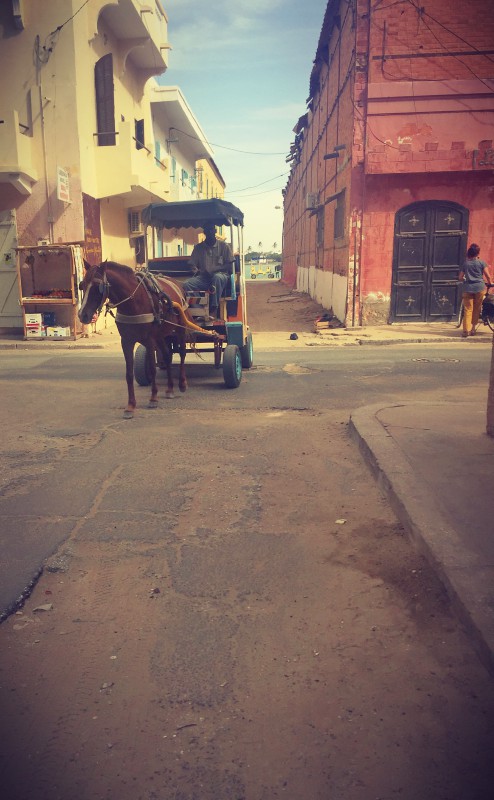 Dans une rue de Saint-Louis, une calèche tirée par un cheval #Off2Africa 22 Saint-Louis Sénégal © Gilles Denizot 2016