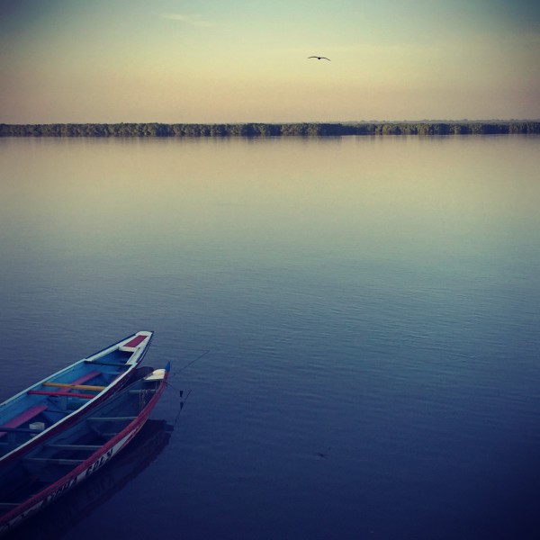 Deux pirogues sur le fleuve Casamance, un oiseau vole dans le ciel #Off2Africa 46 Ziguinchor Casamance Sénégal © Gilles Denizot 2017