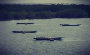 Pirogues de pêches sur le fleuve Casamance #Off2Africa 45 Ziguinchor Casamance Sénégal © Gilles Denizot 2017