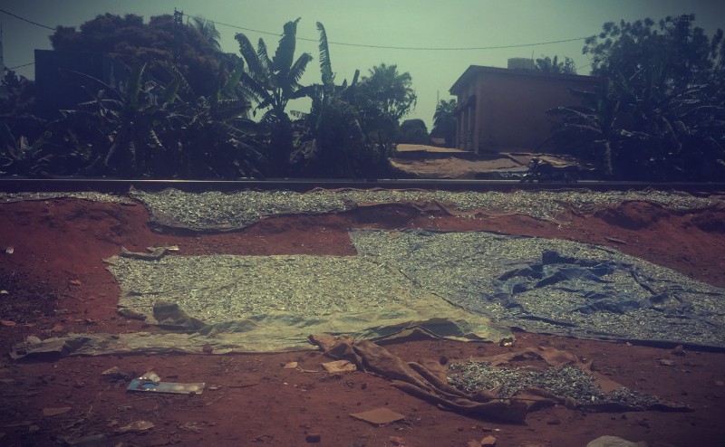 Des tissus étendus sur la terre rouge, au bord d'une voie ferrée #Off2Africa 64 Conakry Guinée © Gilles Denizot 2017