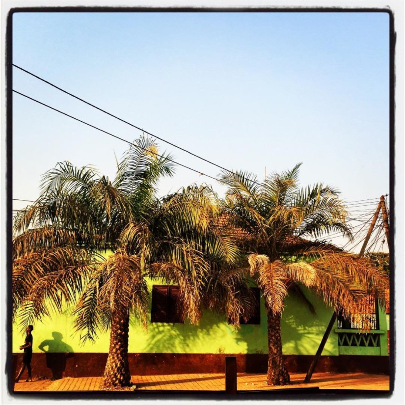 Rangée de palmiers, fils électriques, maison verte et un gamin sur la gauche #Off2África 50 Bissau Guinée-Bissao © Gilles Denizot 2017