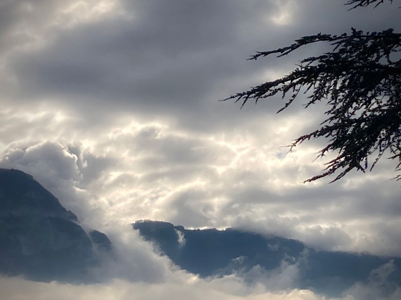 Cimes enneigées, ou seraient-ce des nuages ? À droite, un arbre vénérable s'immisce dans le cadre #HolaBCN thankyouforthehappy © Gilles Denizot 2024