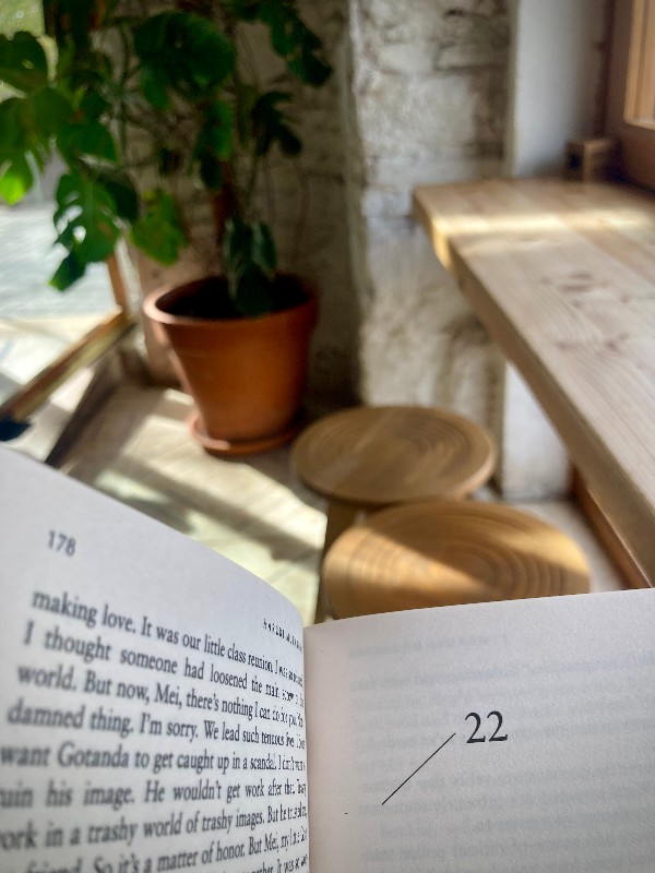 Livre ouvert sur le chapitre 22, au second plan des tabourets et une table en bois, une plante dans un pot #HolaBCN Galaxie cinq sept © Gilles Denizot 2024
